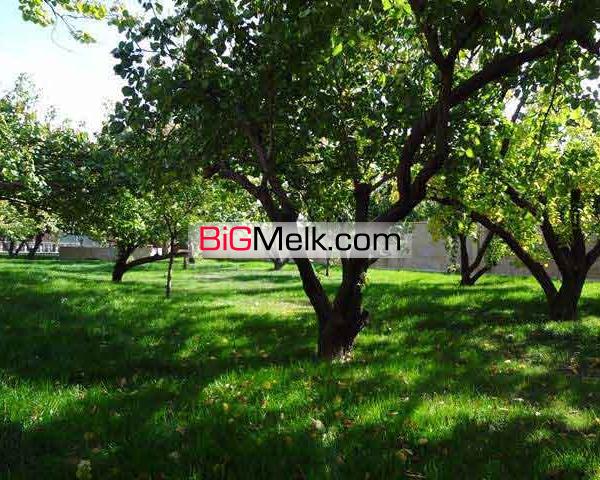 فروش باغ با بنای قدیمی در لم آباد ملارد کد 1439