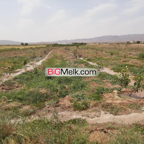 زمین کشاورزی سند دار با آب ۸ اینچ