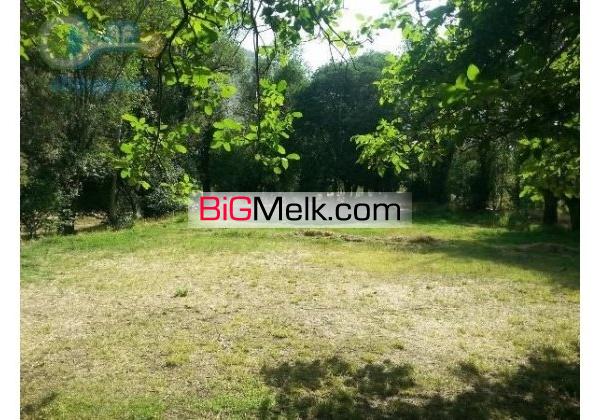 فروش 4 قطعه زمین و باغ در جاده هراز برای اهل تجارت