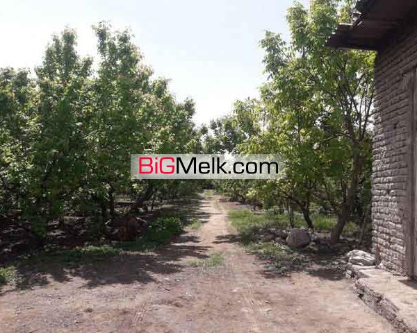 فروش 13000متر باغ با بنای قدیمی در ملارد کد1315