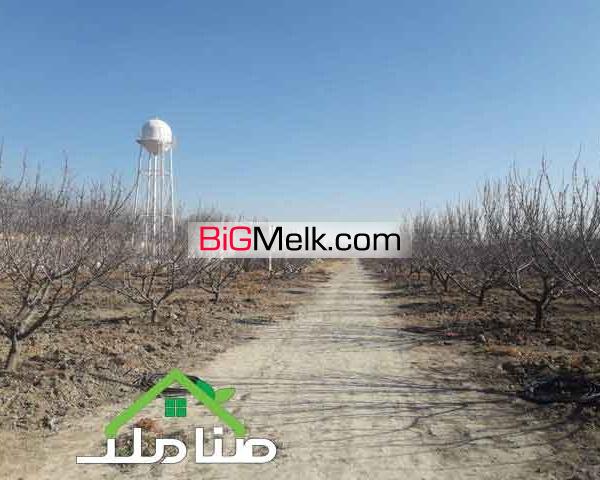 فروش باغ مناسب تفکیک در صفادشت کد1244