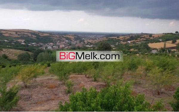 25000متر باغ در بریجان نکاء | نکا، نکاء