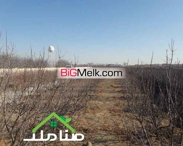 فروش باغ مناسب تفکیک در صفادشت کد1244