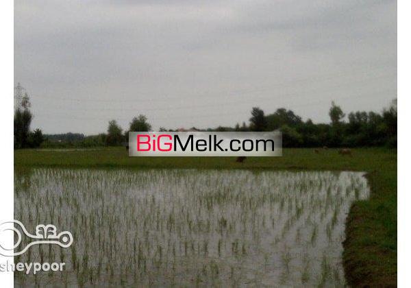 مزایده زمین زراعی13000متروخانه محوطه(خشکی)3600متر | ماسال، شاندرمن روستای سرسبز دلیجان