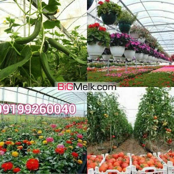 اخذ مجوزهای کشاورزی پروانه تاسیس