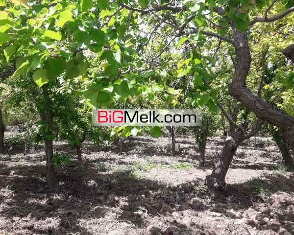 فروش 13000متر باغ با بنای قدیمی در ملارد کد1315