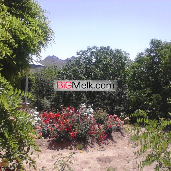 مزرعه فروشی 22هکتار