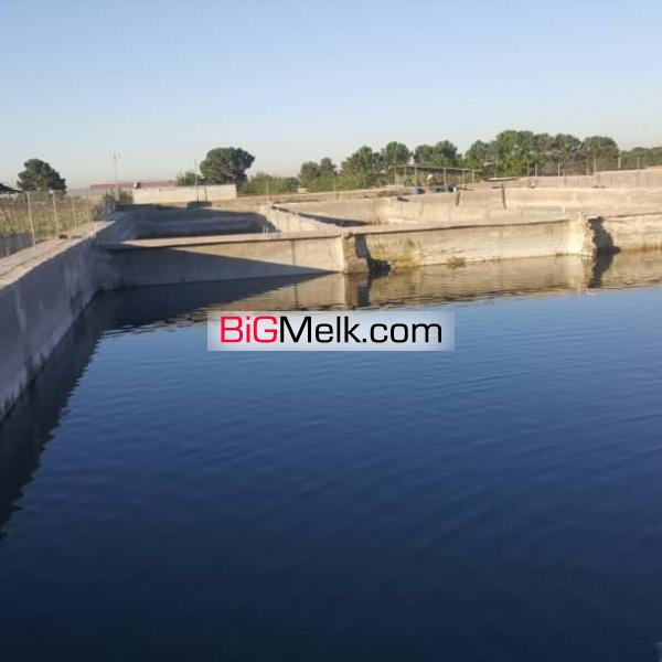 گلخانه آنتوریوم مزرعه انگور زمین کشت زعفران استخر پرورش ماهی