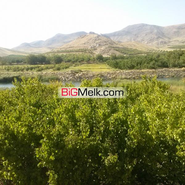 فروش یک و نیم هکتار باغ مثمر زردآلو در لرستان