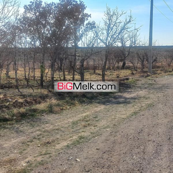 زمین 3750 متری زراعی در قزوین