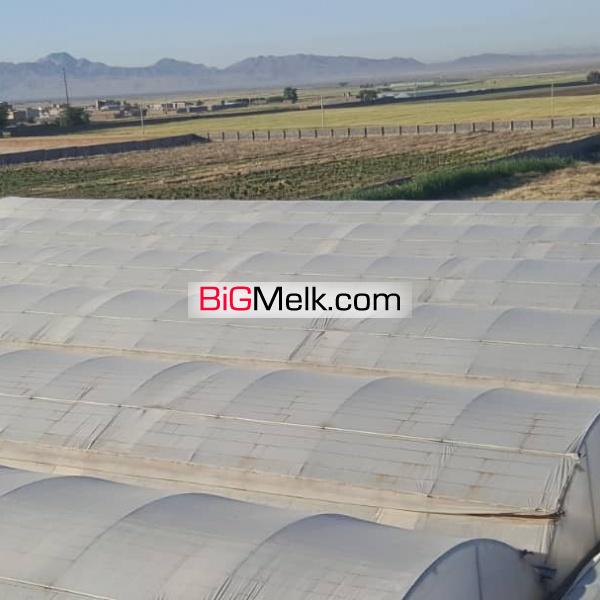 گلخانه آنتوریوم مزرعه انگور زمین کشت زعفران استخر پرورش ماهی