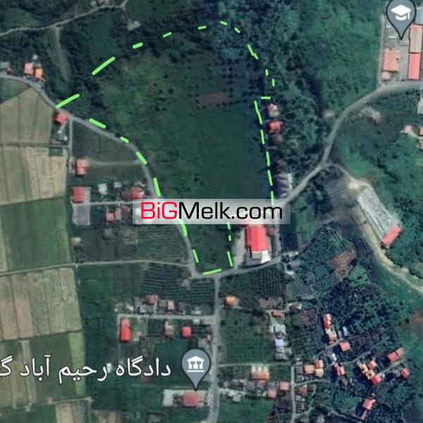 85000متز زمین باغ چای
