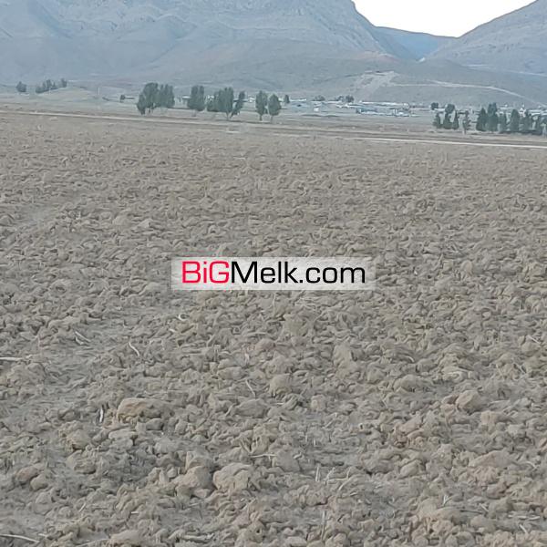 عباس میردادیان