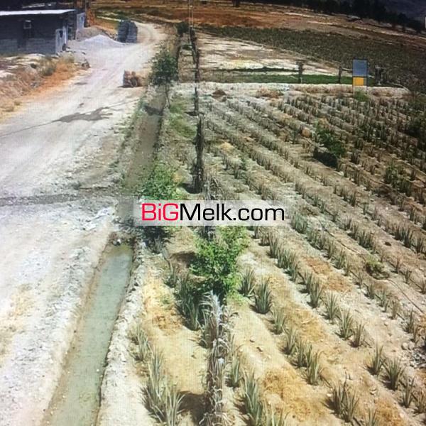 فروش زمین کشاورزی 16هکتار بندرعباس