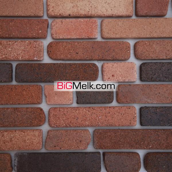 آجرنما قزاقی