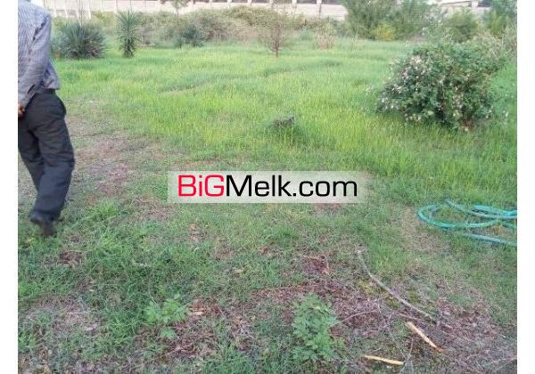 10500متر زمین ساحلی نوشهر | مازندران، نوشهر