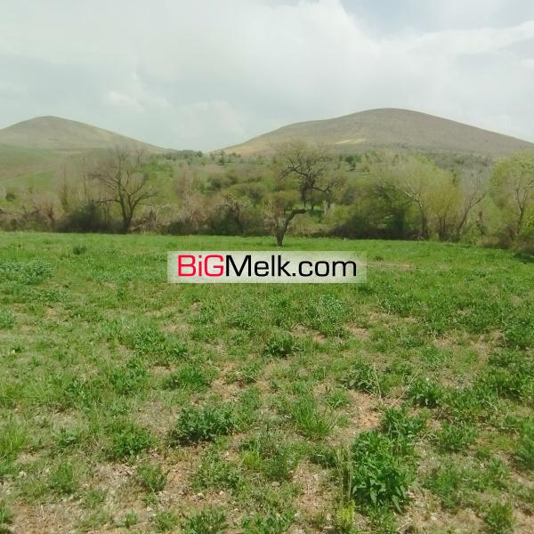 باغ روستایی
