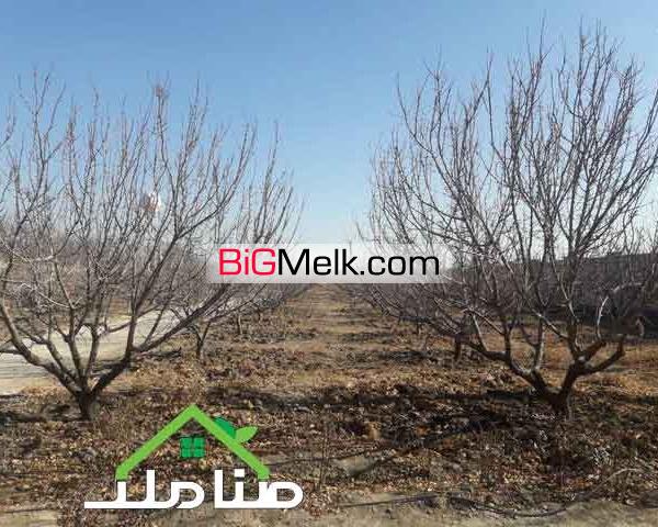 فروش باغ مناسب تفکیک در صفادشت کد1244