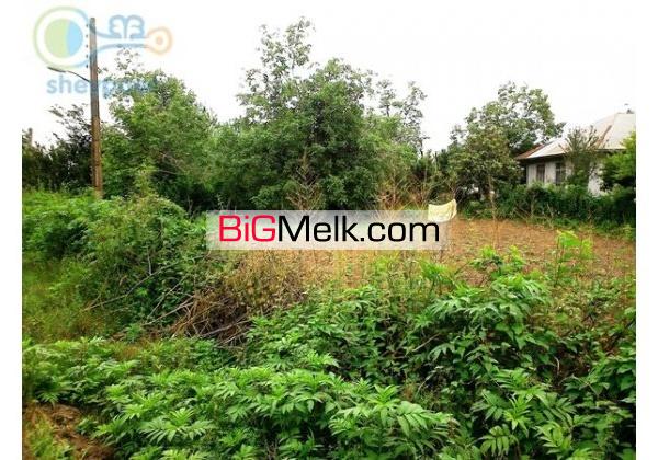 فروش زمین 600 متری در طاهر گوراب برای ساخت ویلا