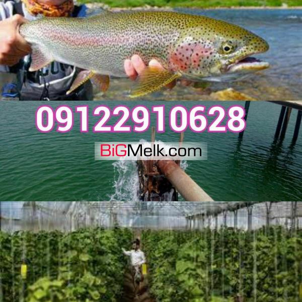 اخذ مجوزهای کشاورزی پروانه تاسیس