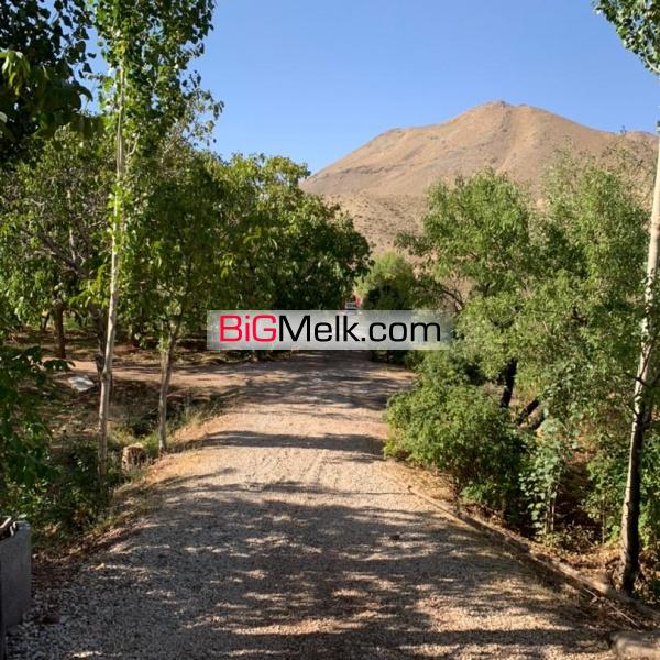 فروش ویژه باغ