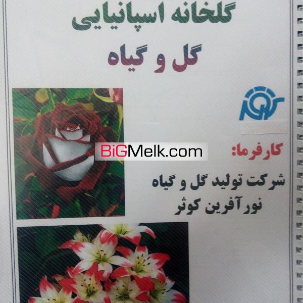 املاک کشاورزی | فروش زمین کشاورزی با مجوز کشت و صنعت