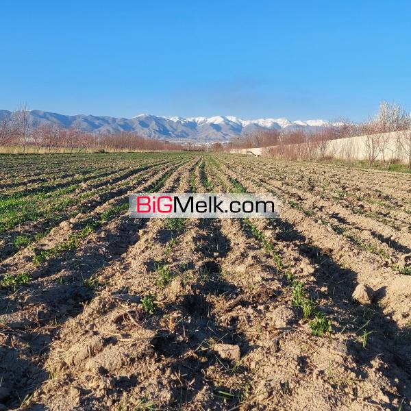 زمین کشاورزی با آب و امکانات کافی