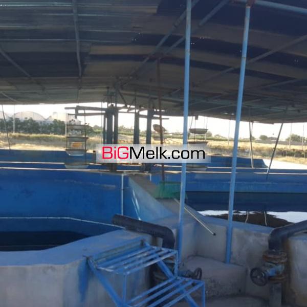 گلخانه آنتوریوم مزرعه انگور زمین کشت زعفران استخر پرورش ماهی