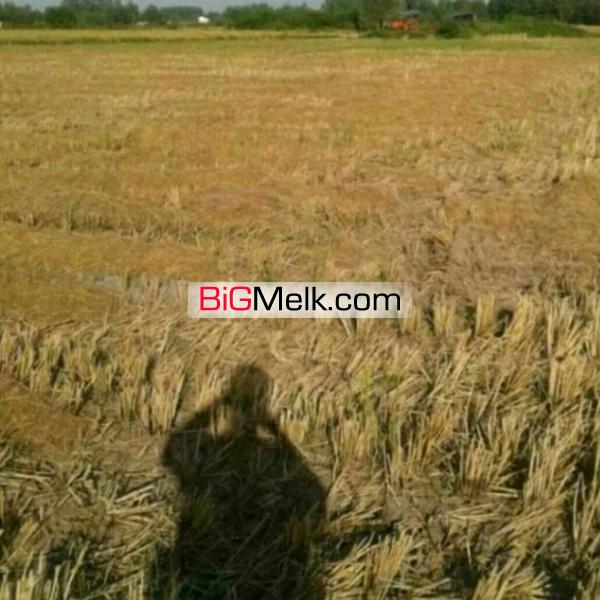 فروش زمین کشاورزی11هزارمتری دارای سندمالکیت تک برگ