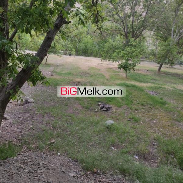 زیمن (باغ) کنار رودخانه زاینده رود
