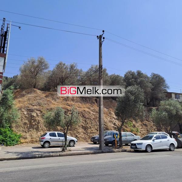 1370 متر باغ زیتون بر اتوبان قزوین رشت
