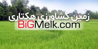 فروش زمین 25هکتاری در کاشان