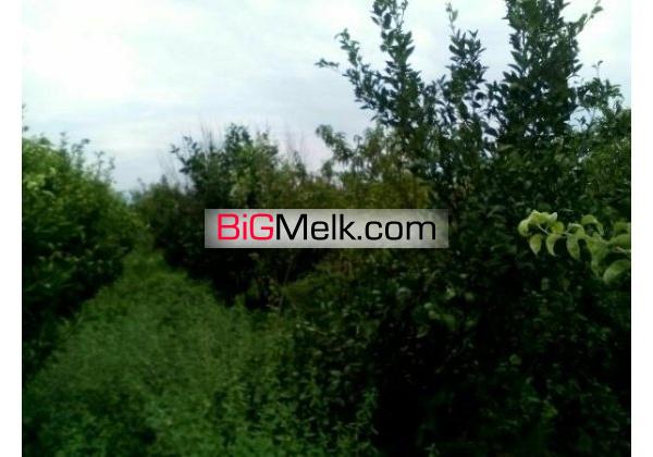 باغ ویلا 7000متری امل | آمل، امل