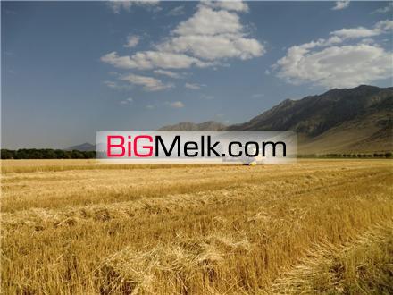 فروش زمین کشاورزی قزوین