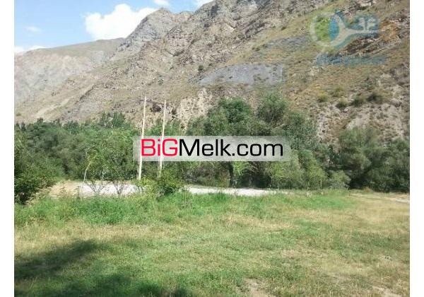 فروش 4 قطعه زمین و باغ در جاده هراز برای اهل تجارت