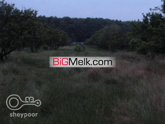 باغ 25000 متری | آمل، مجاورت جنگل