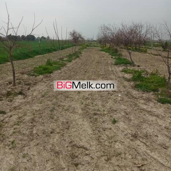 5000 باغ ویلا در گرگان مناسب سرمایه گذاری