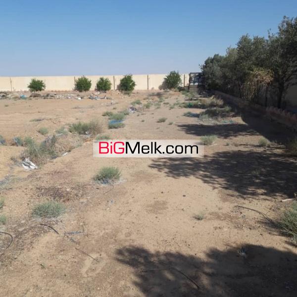 فروش کارخانه مورچه خورت اصفهان