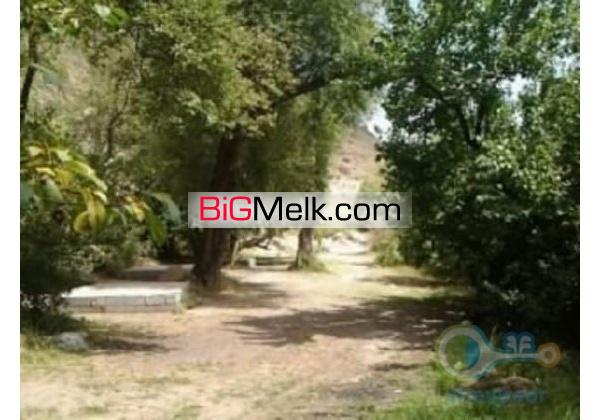 فروش 4 قطعه زمین و باغ در جاده هراز برای اهل تجارت