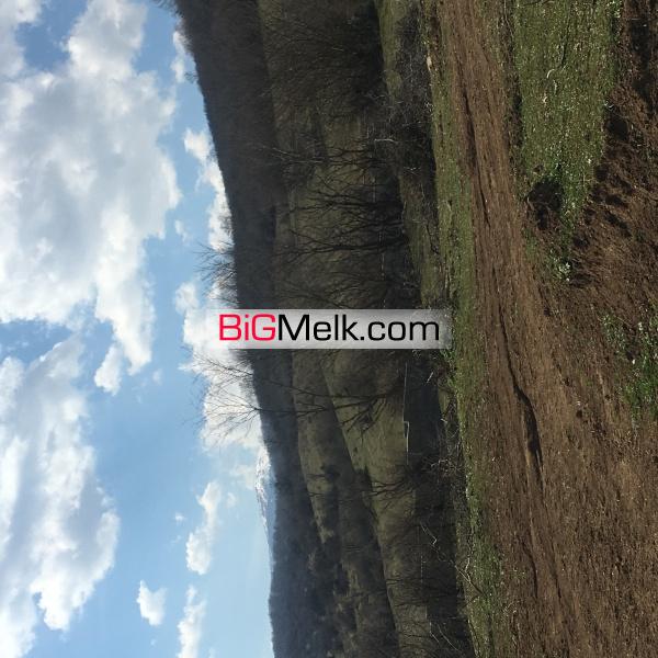 600 متر زمین در روستای سرکاء منطقه گویتر کلاردشت