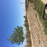 خانه ویلای با زمین ۵۰۰۰متری