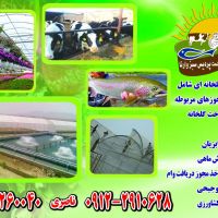 فروش کشت و صنعت