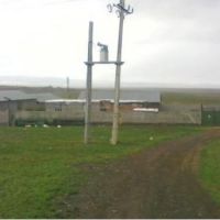 اجاره دامداری صنعتی1500متری