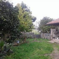 فروش باغ در آمل  2400 متر