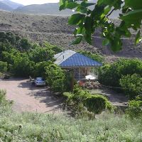 مزرعه فروشی 22هکتار