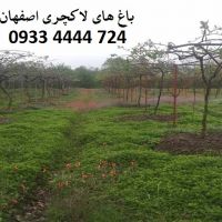 خرید باغ در اصفهان