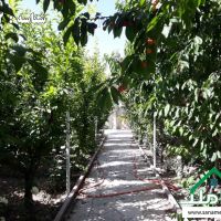 فروش باغ 800 متری سنددار در خوشنام