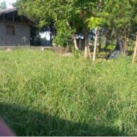 زمین 470 متری خشکی برای ساخت ویلا | گیلان، ماسال