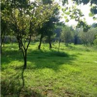 1200متر زمین مسکونی فوق العاده زیرقیمت | گیلان، سنگر