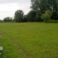 مزایده زمین زراعی13000متروخانه محوطه(خشکی)3600متر | ماسال، شاندرمن روستای سرسبز دلیجان